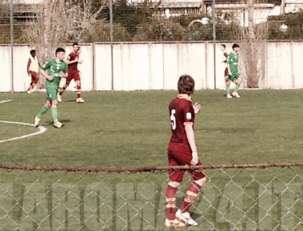 jedvaj roma primavera avellino