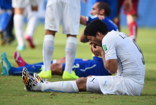 suarez dente morso chiellini