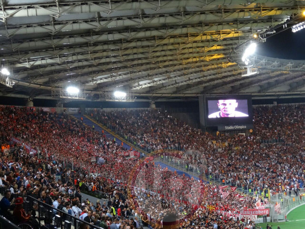 curva nord olimpico champions