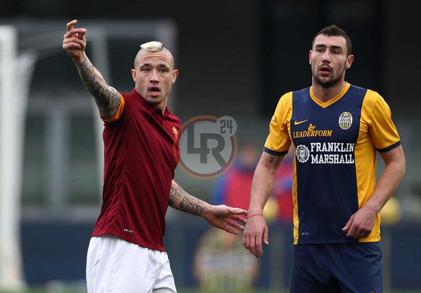 nainggolan 3 verona roma 22.02.2015 foto gino