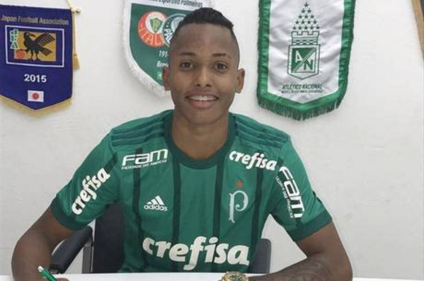 fernando palmeiras