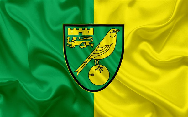 Norwich city logo