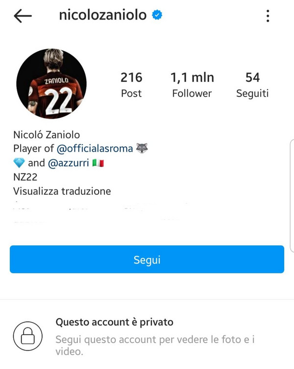 Zaniolo Ig profilo chiuso