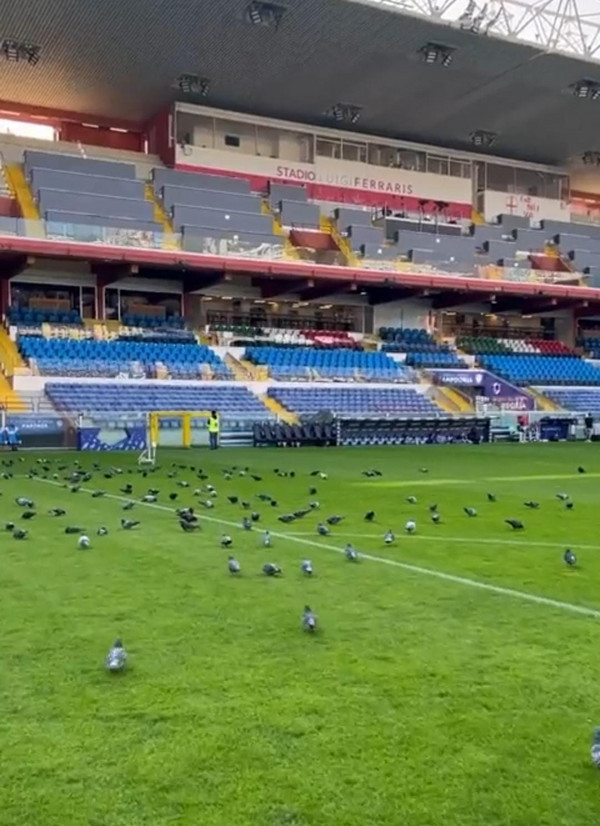 Marassi campo piccioni Samp Roma