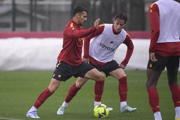 bove celik trigoria