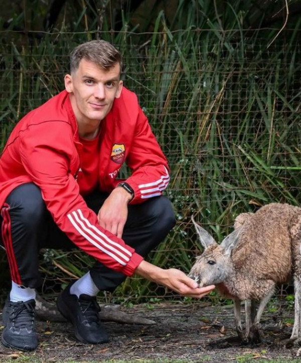 llorente zoo