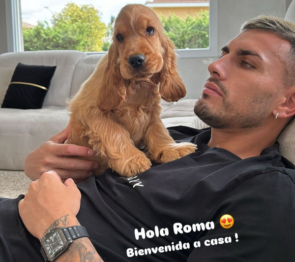 paredes cane roma