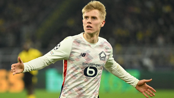 haraldsson lille 2025
