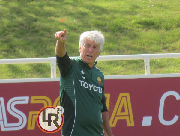 gasperini