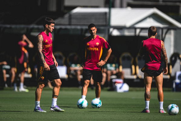 soule celik angelino