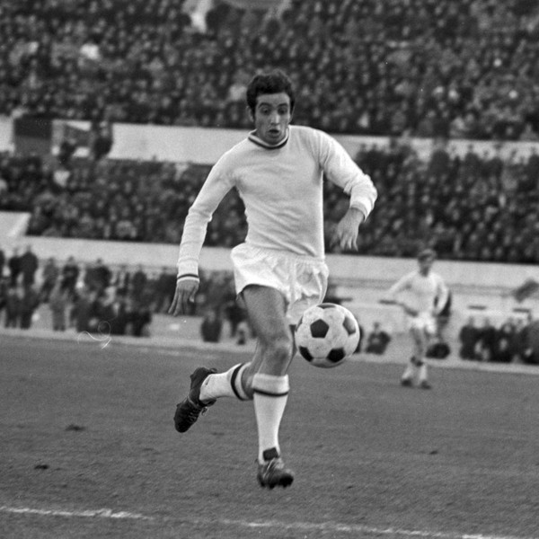 vito d'amato