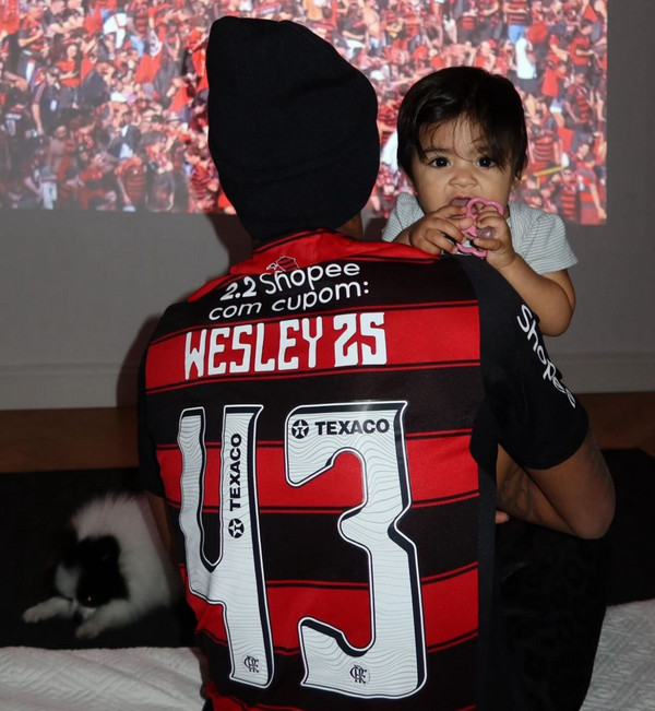 copa libertadores palmeiras-flamengo wesley