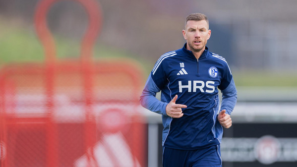 edin dzeko schalke