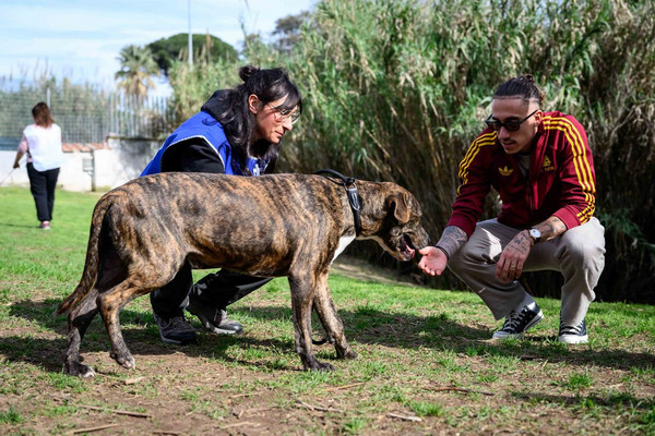 tsimikas pet day