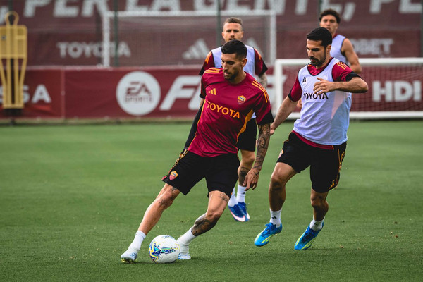 pellegrini e celik