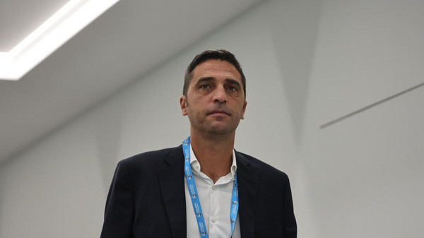 tony d'amico